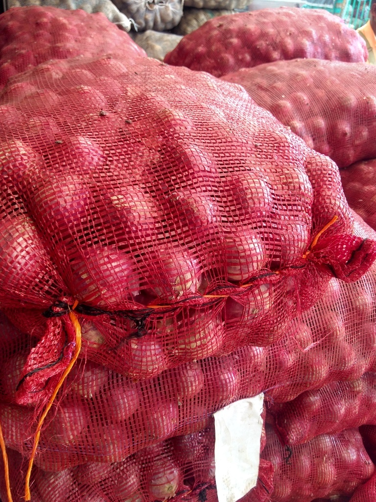 Cebolla ocañera