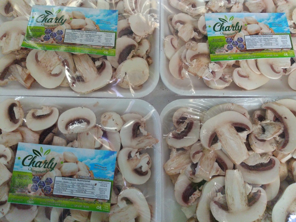 Champiñon x 100 gm