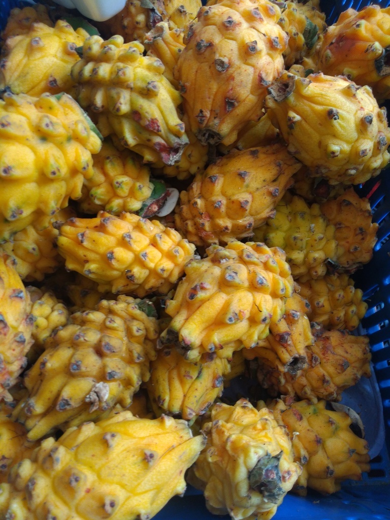 Pitaya