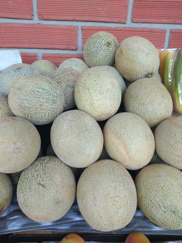 Melón