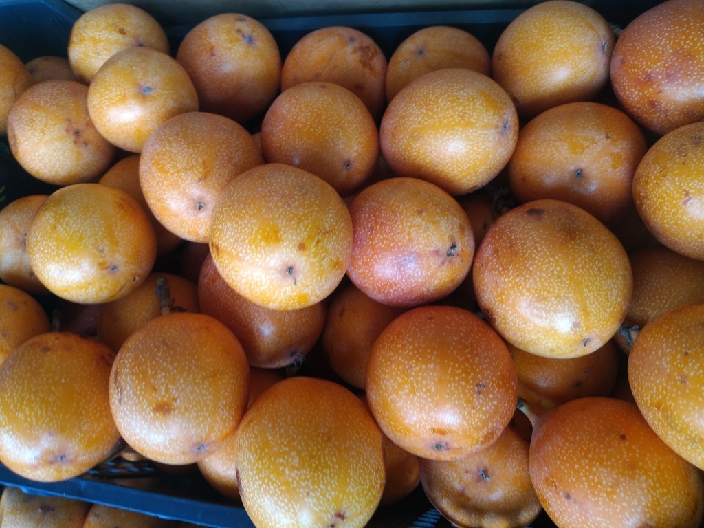Granadilla