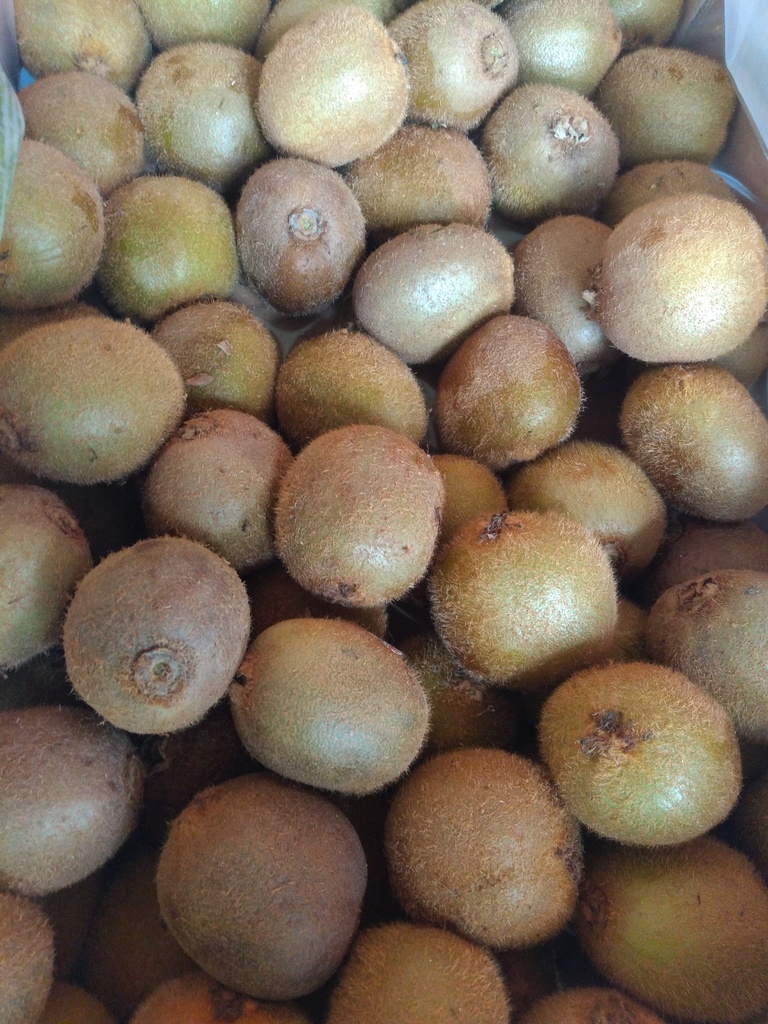 Kiwi