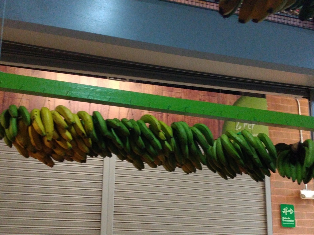 Banano criollo