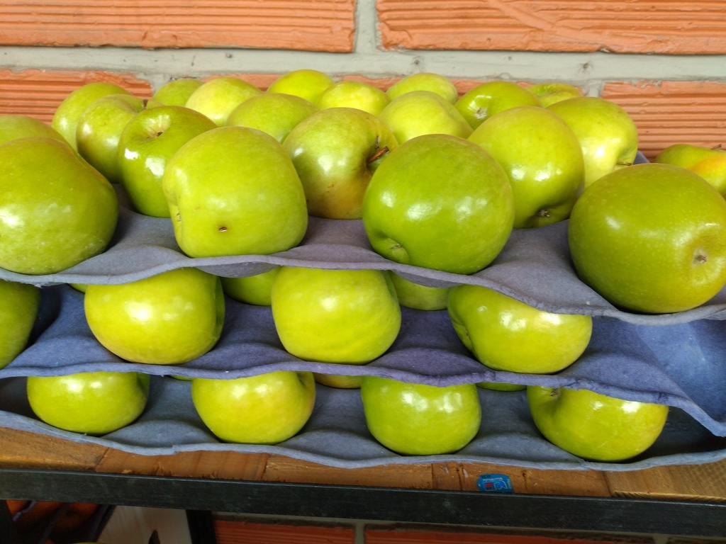 Manzana verde