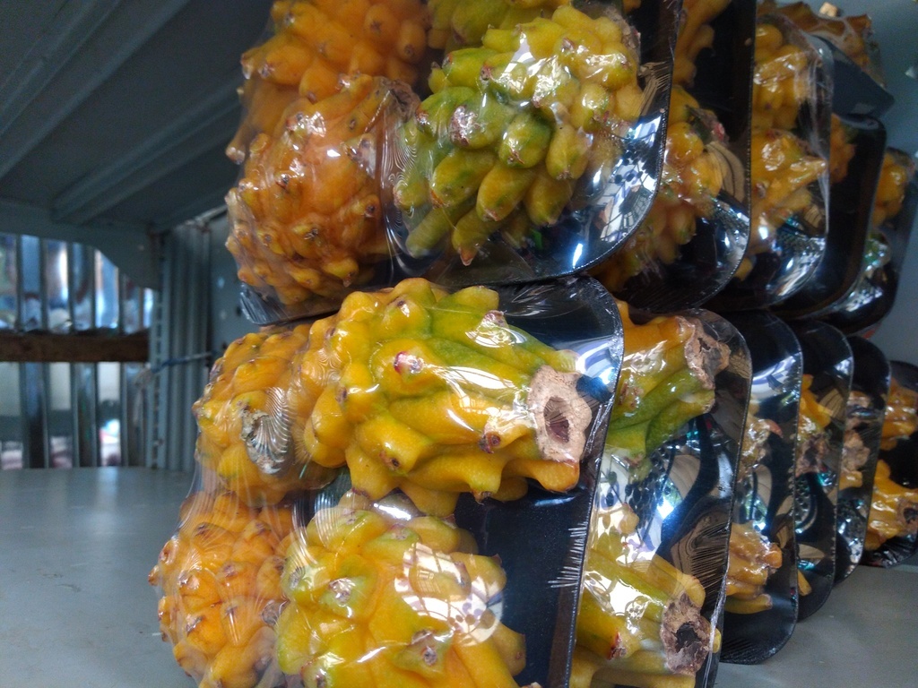 Pitaya bandeja