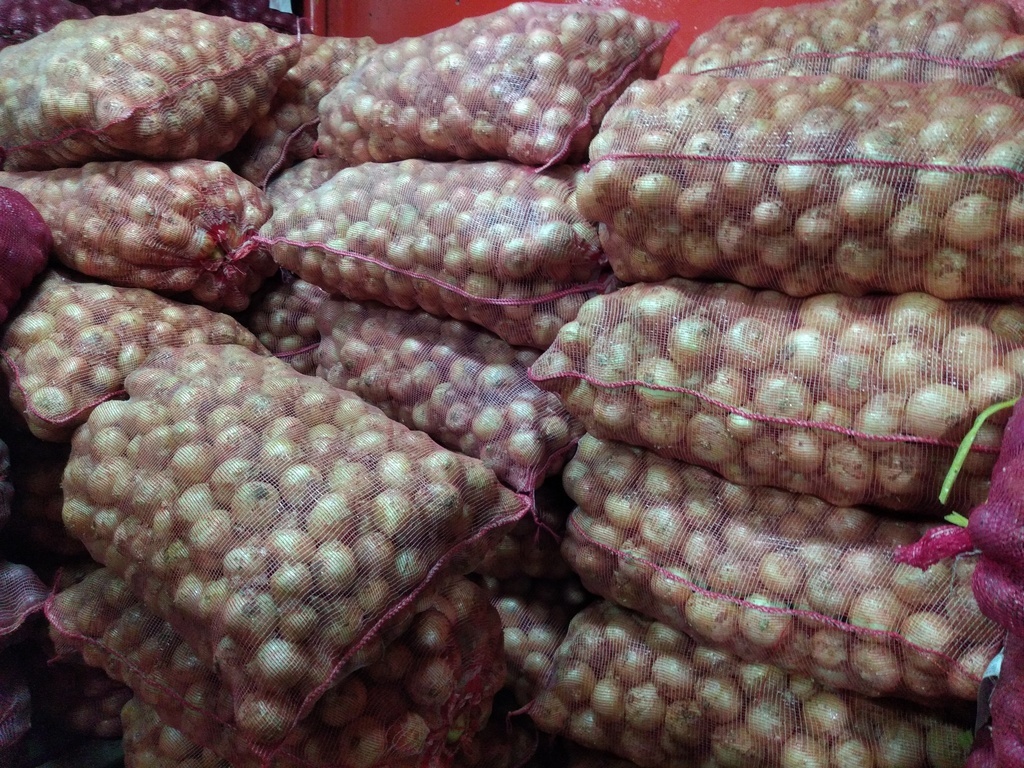 Cebolla blanca bulto x