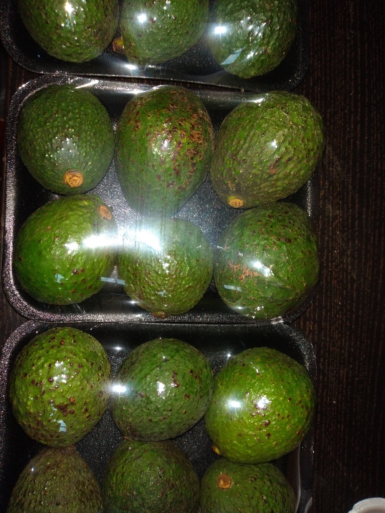 Aguacate Hass bandeja
