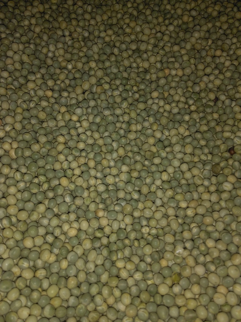 Arveja