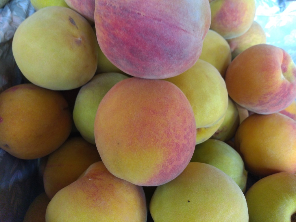 Durazno criollo