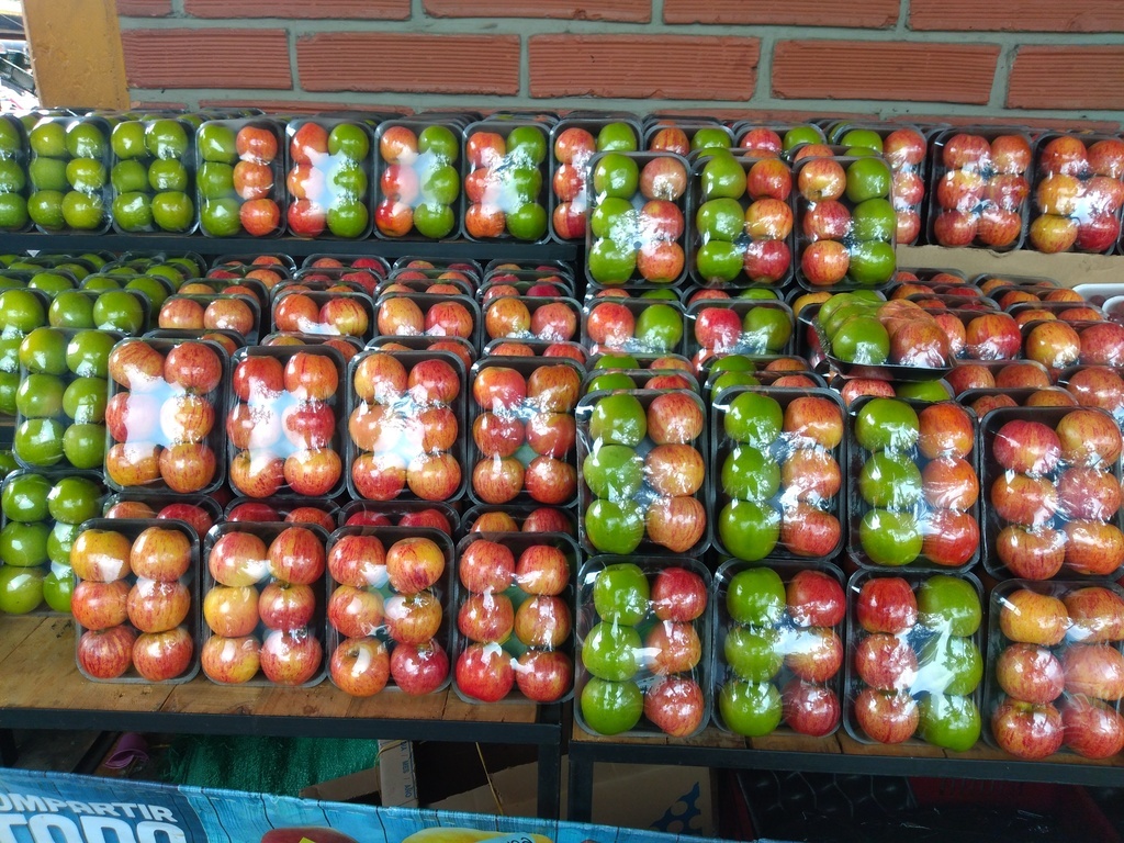 Manzana verde y gala bandeja