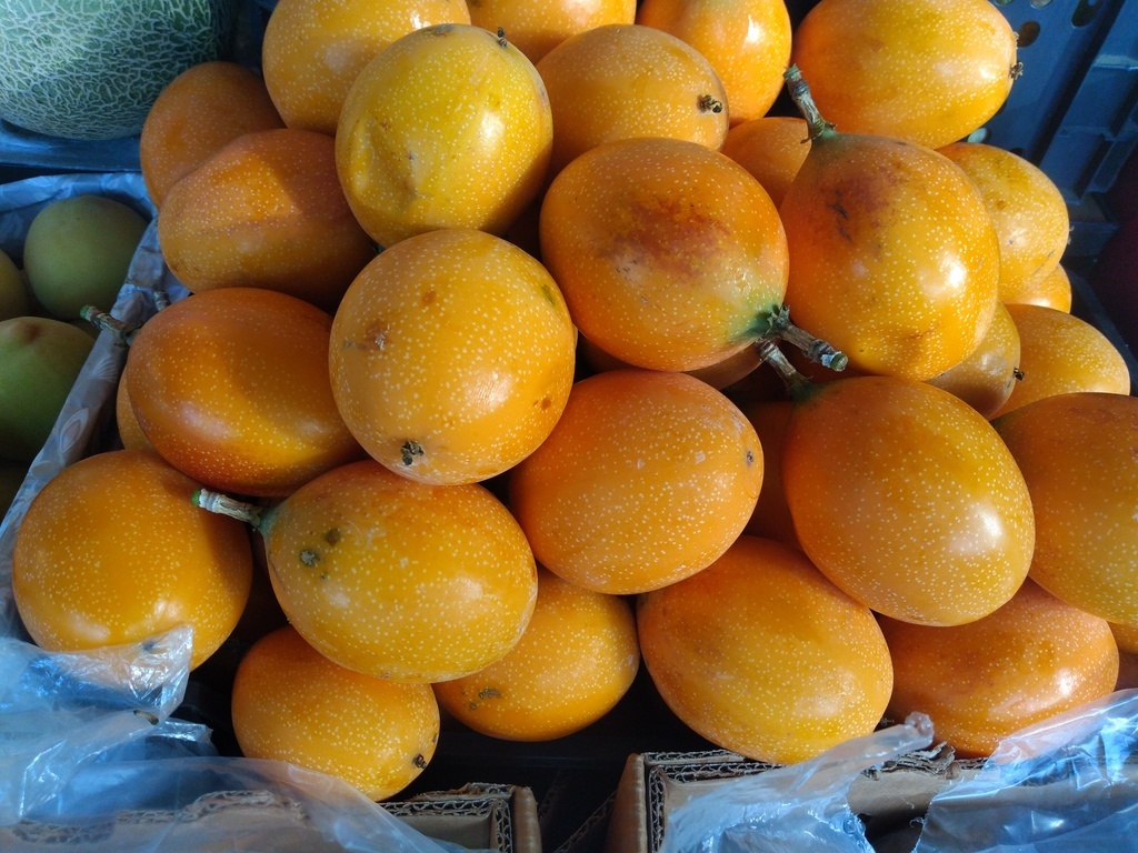 Granadilla