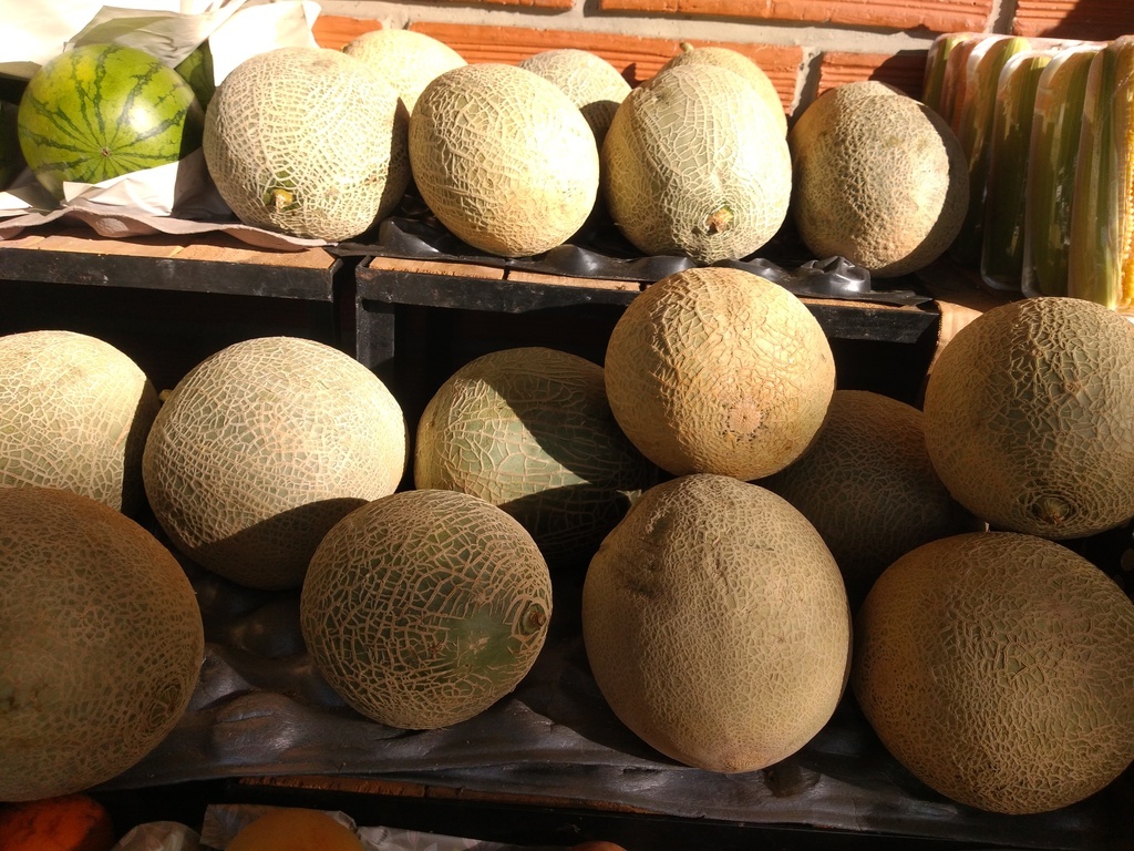 Melón