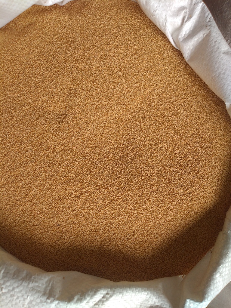 Amaranto