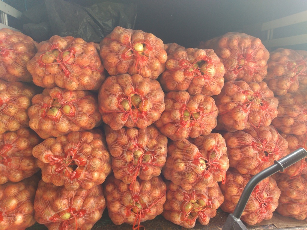 Cebolla blanca bulto x 50 kg