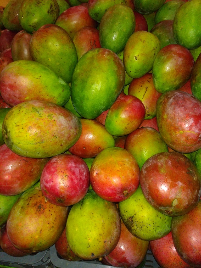 Mango farchi