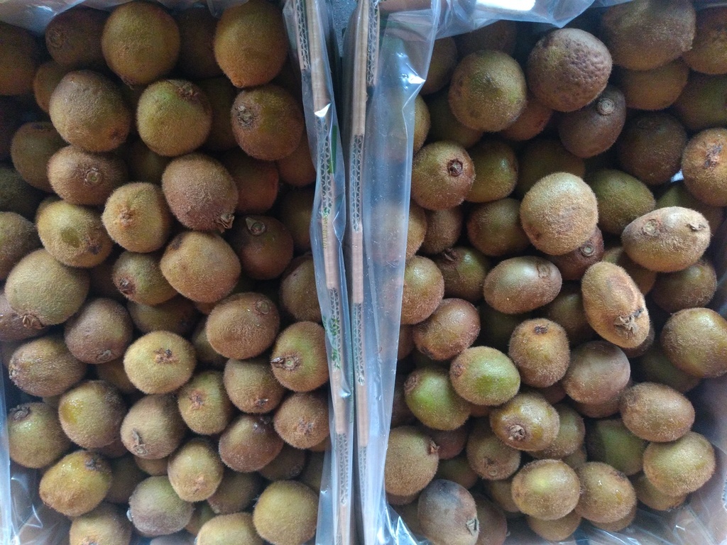 Kiwi