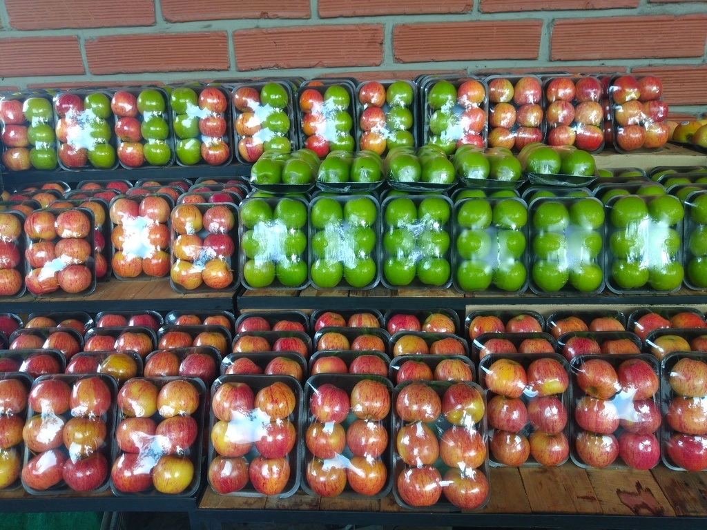 Manzana gala y y bandeja