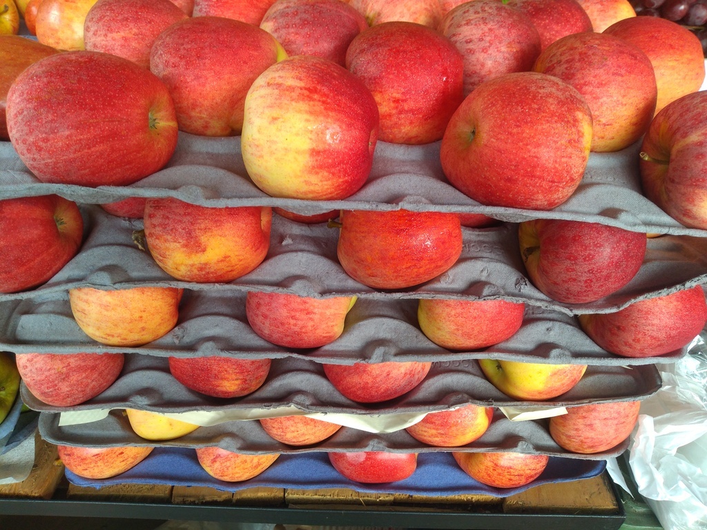 Manzana gala