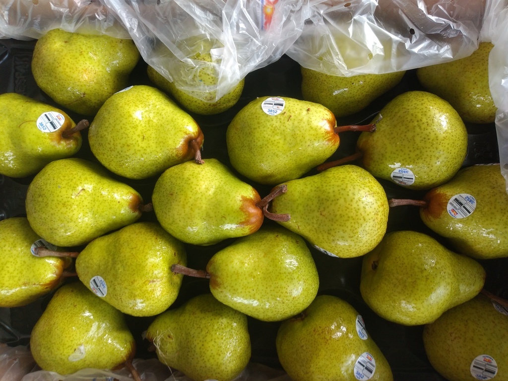 Pera