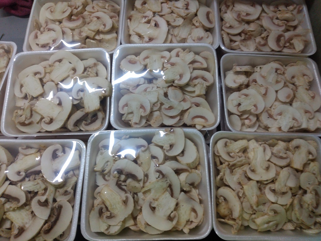 Champiñón bandeja x 200 gm