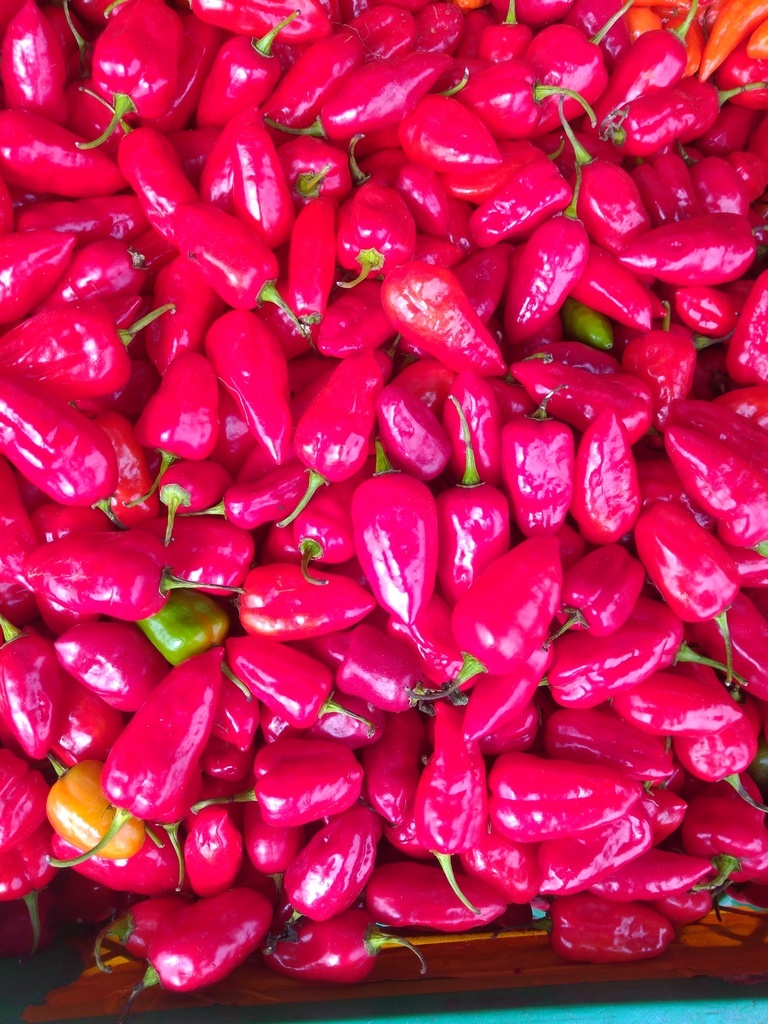 Ají habanero