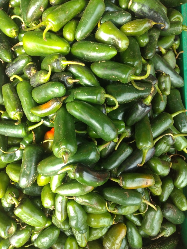 Ají jalapeño