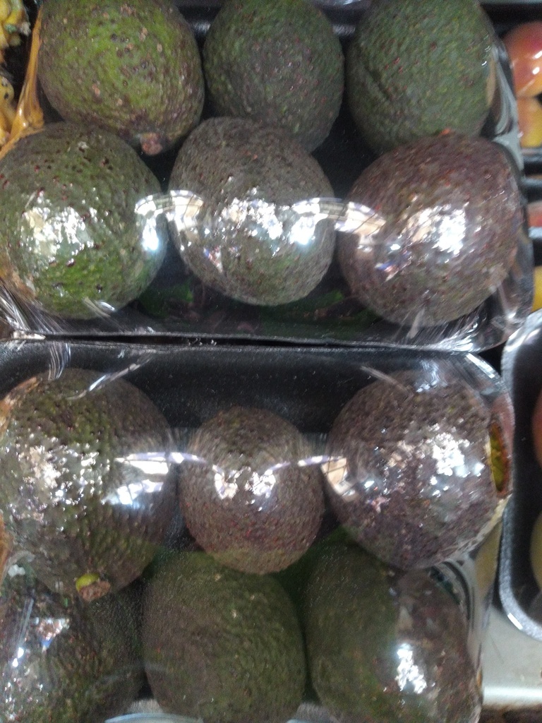 Aguacate hass