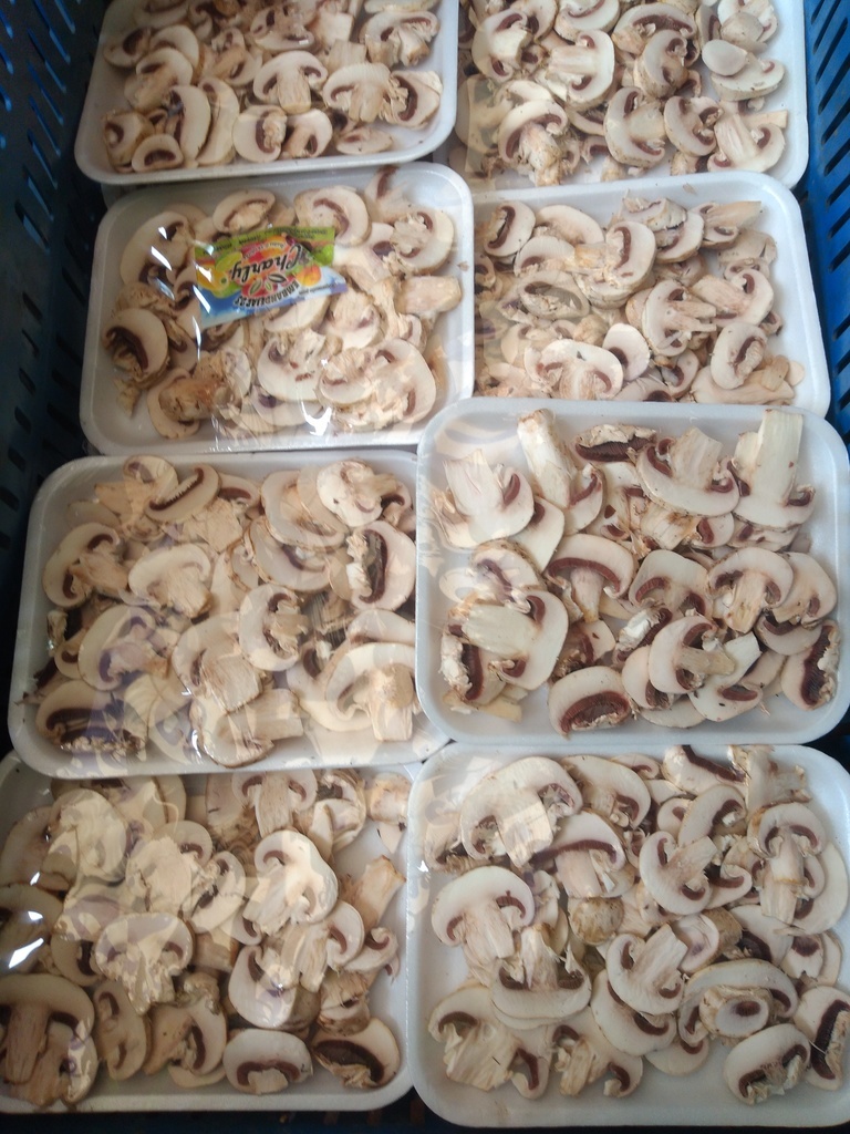 Champiñón x 100 gm