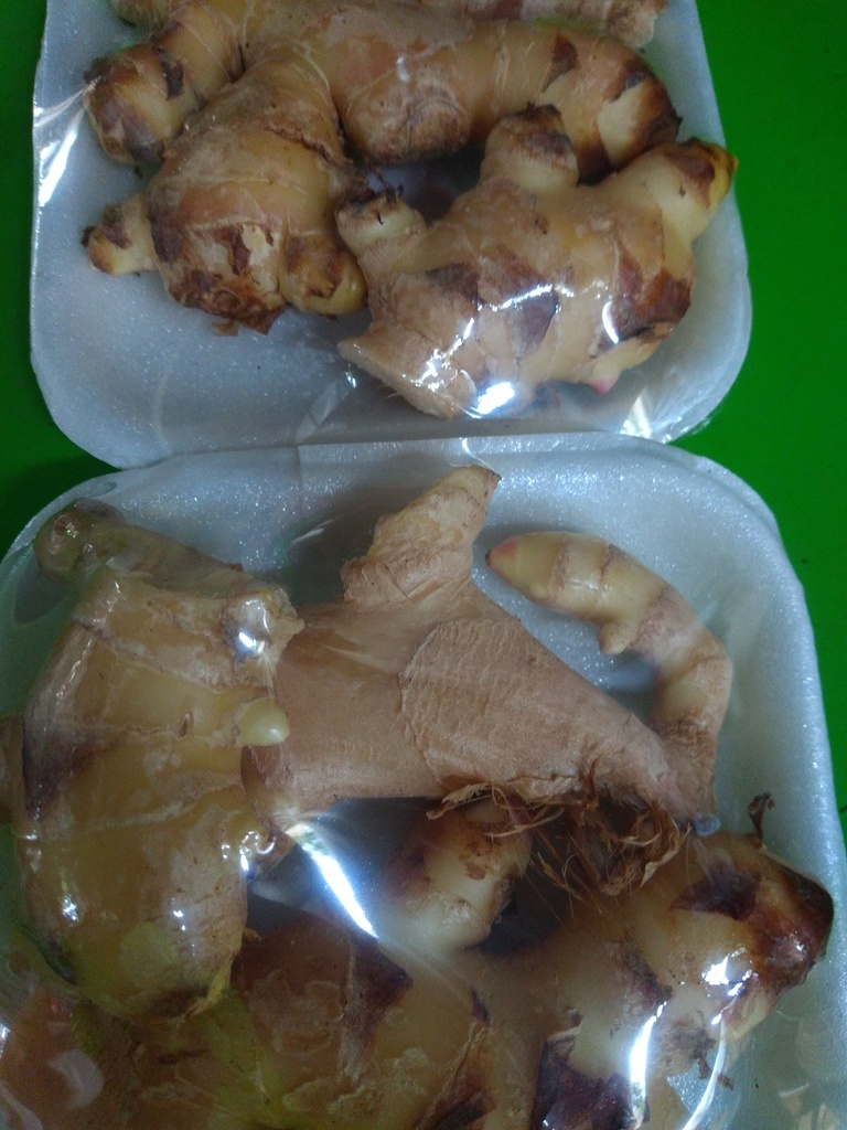 Jengibre bandeja