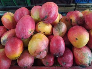 Mango manzano
