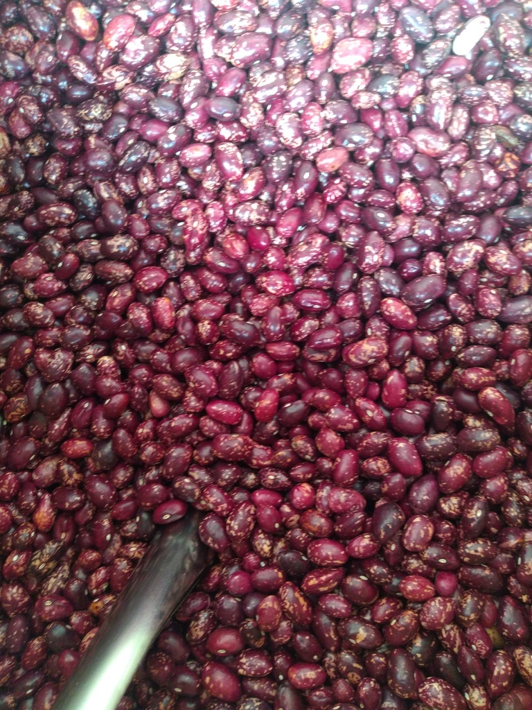 Frijol cargamento rojo