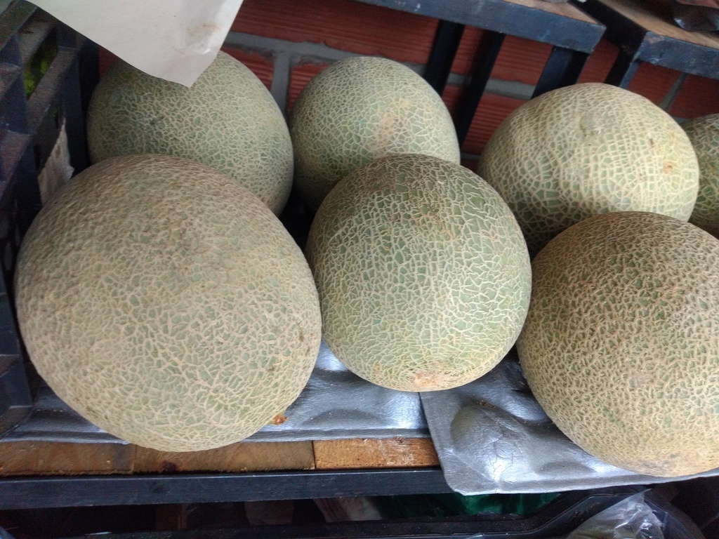 Melón
