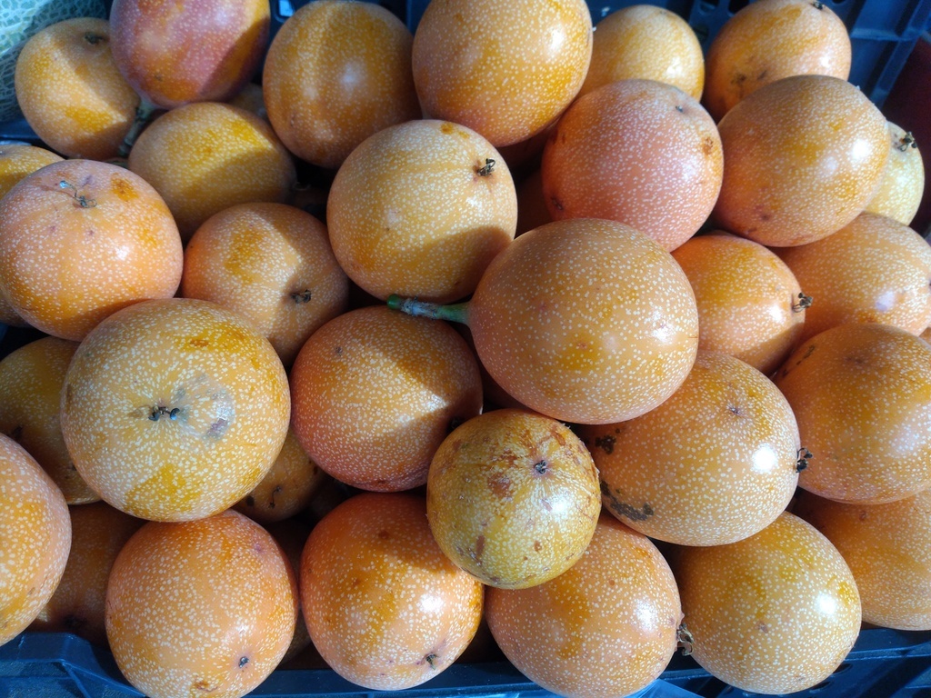 Granadilla