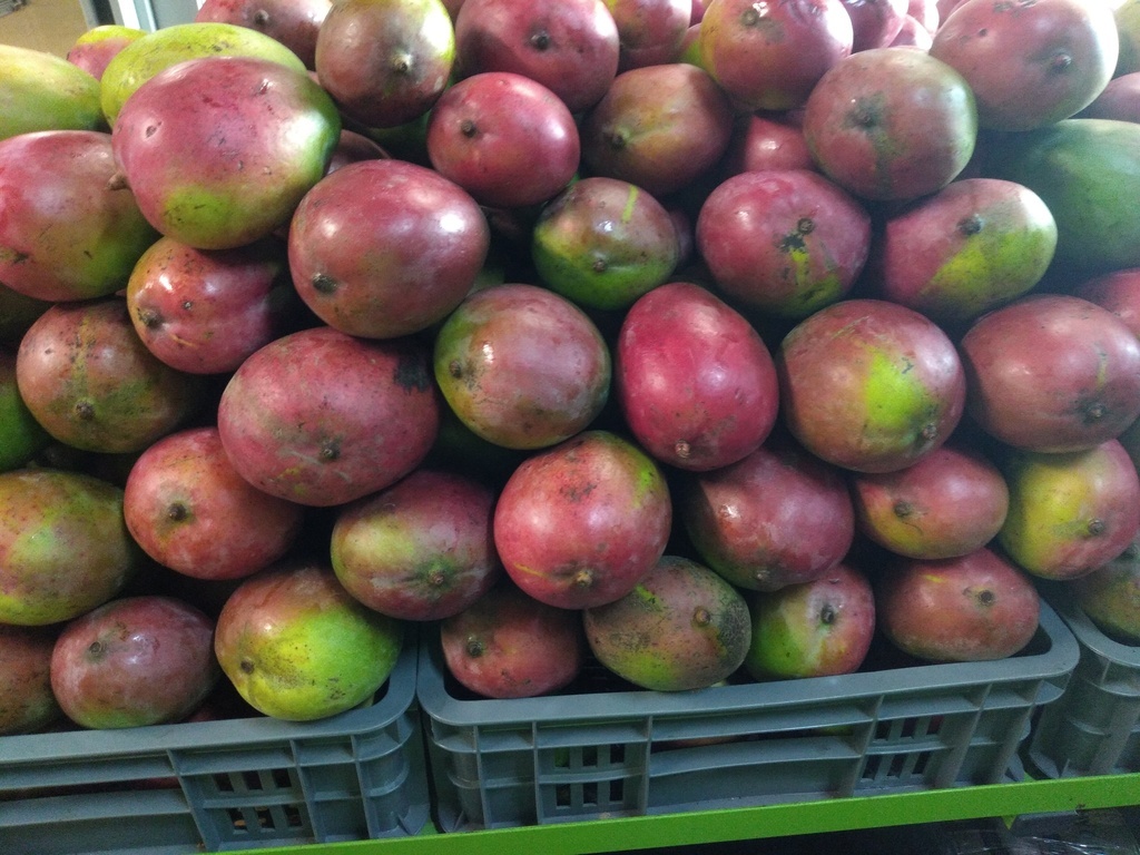 Mango farchi