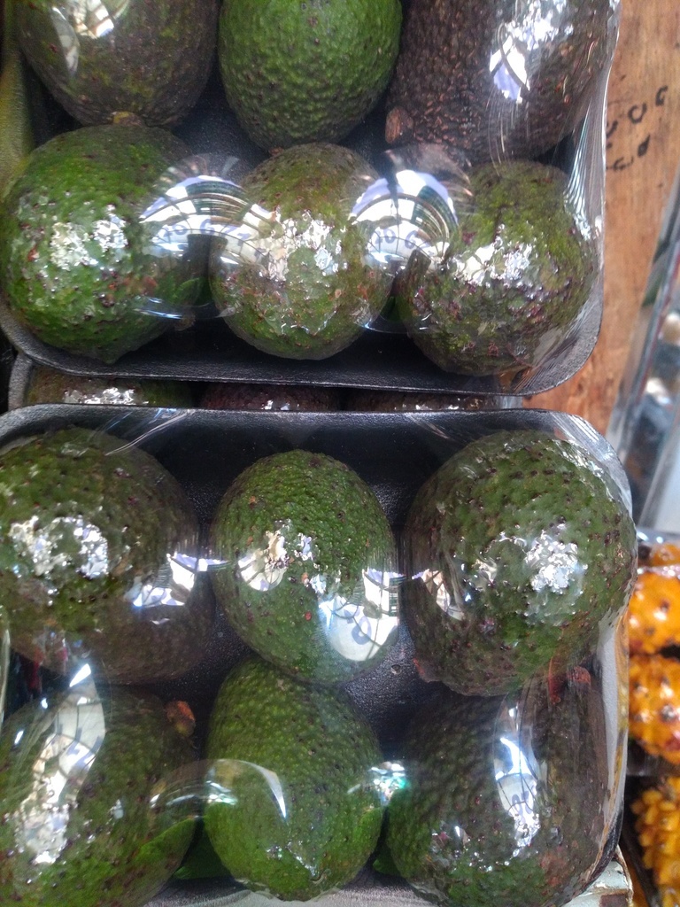 Aguacate Hass