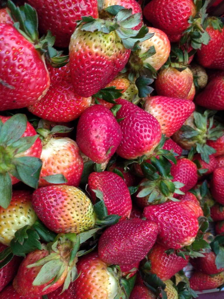 Fresa jumbo