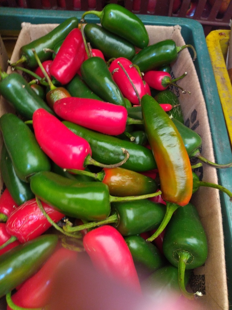 Jalapeño