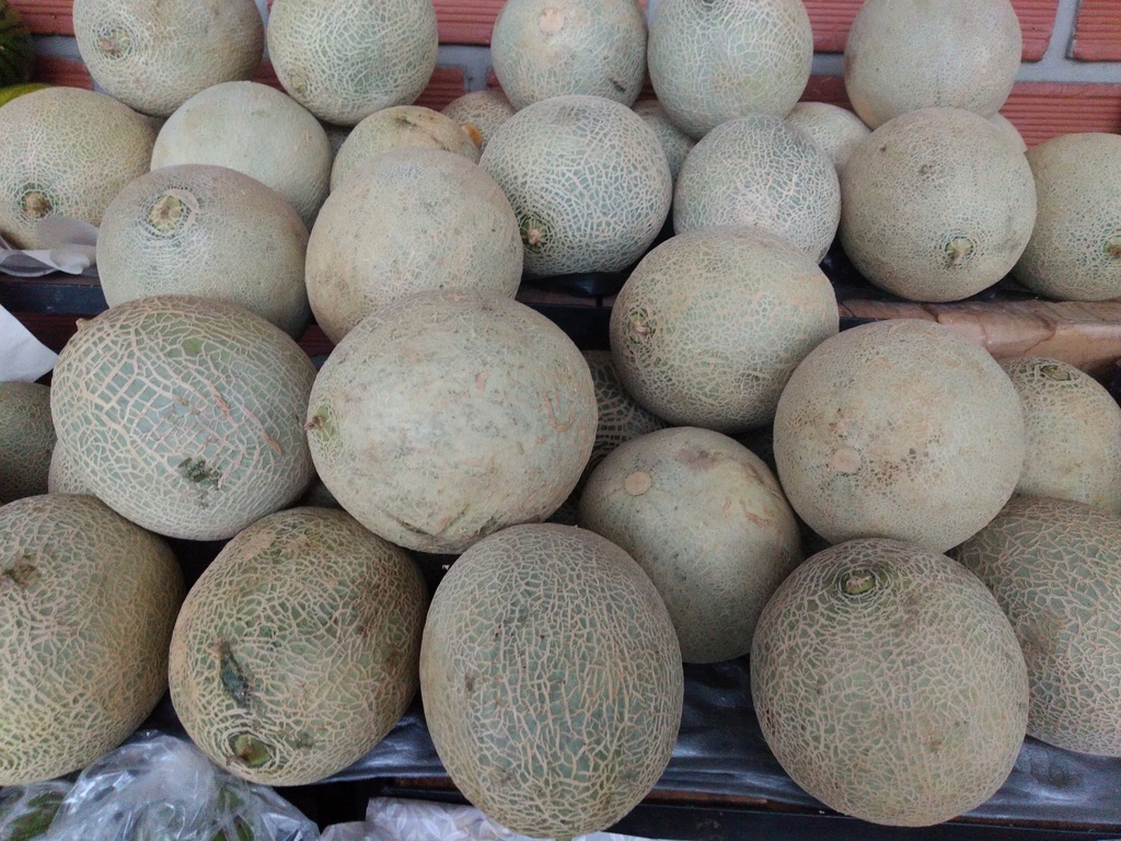 Melón
