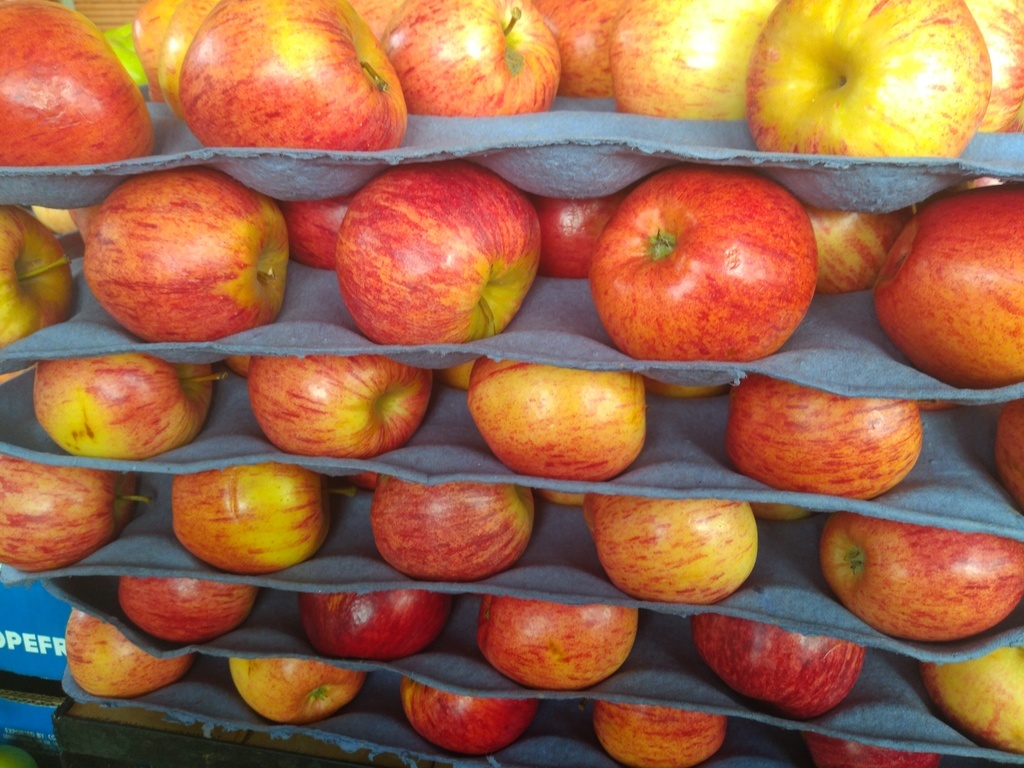 Manzana gala