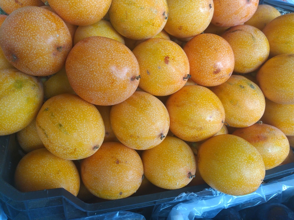 Granadilla