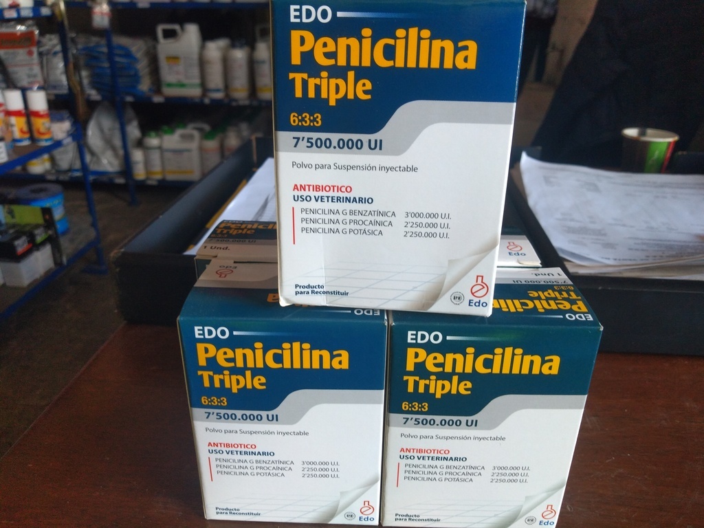 Antibióticos para ganado Edo Penicilina Triple
