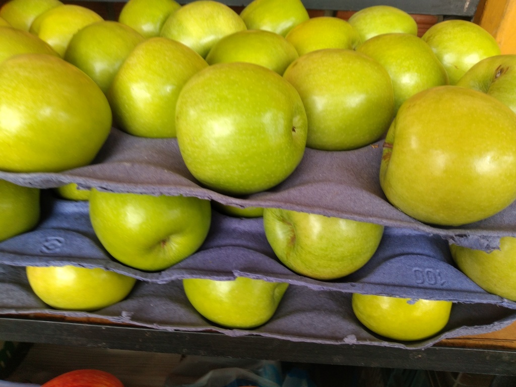 Manzana verde bandeja