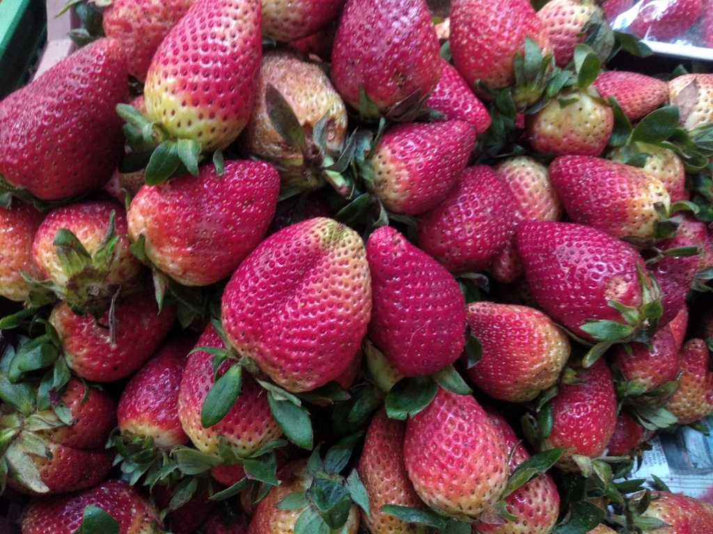 Fresa jumbo