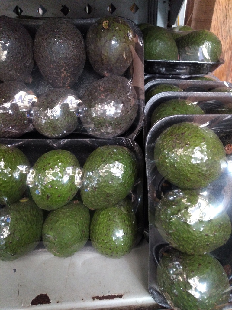 Aguacate Hass bandeja