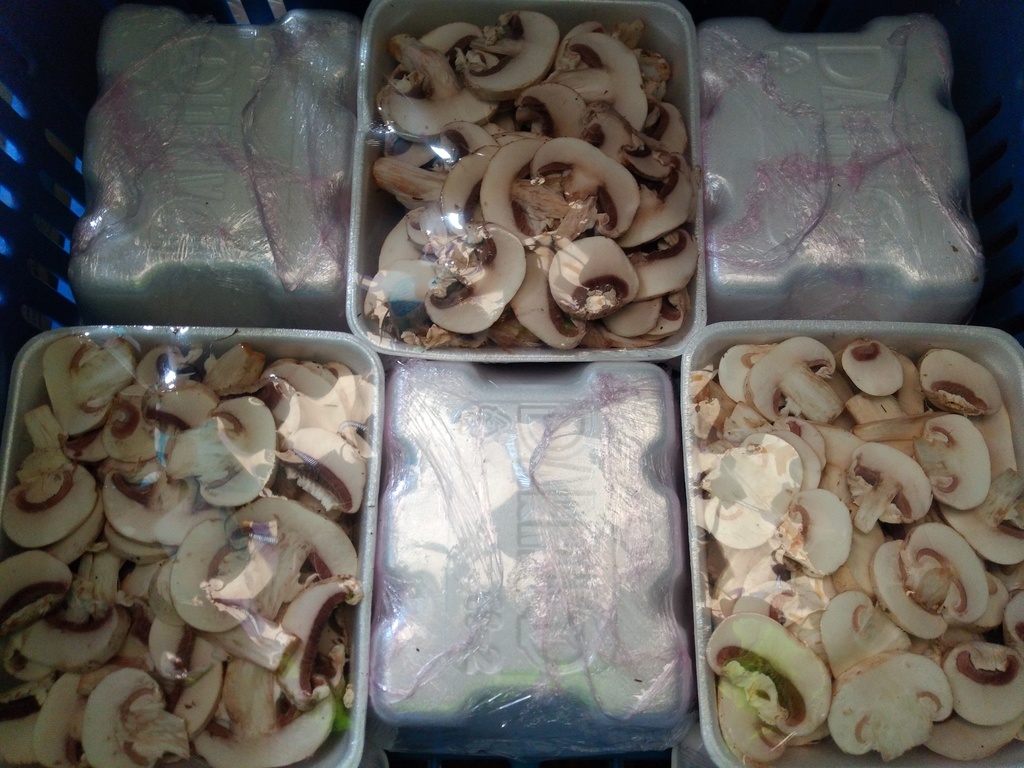 Champiñon x 200 gm