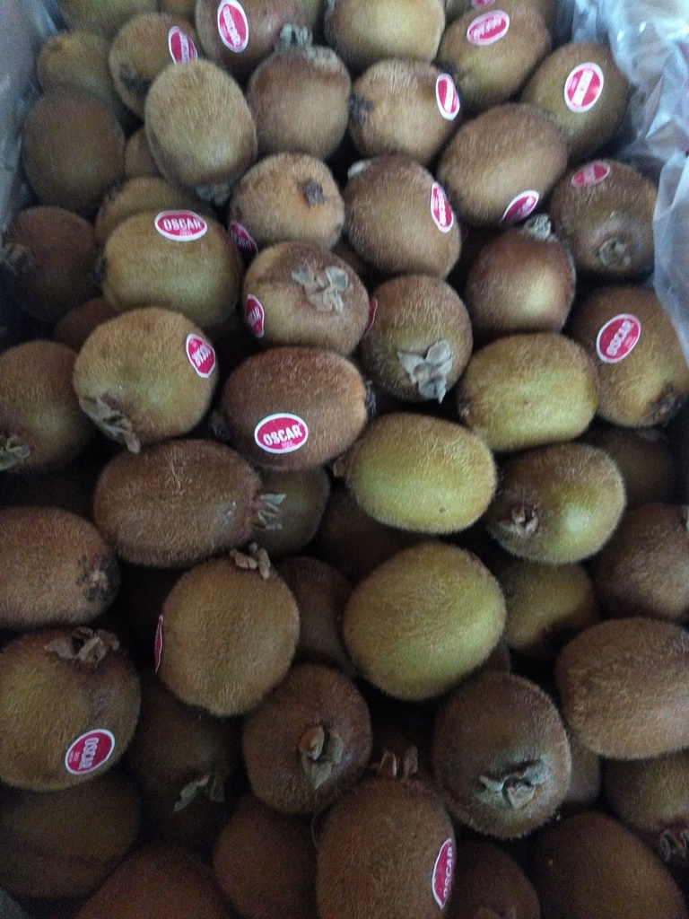 Kiwi