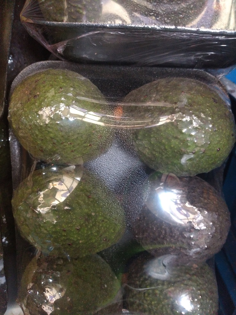 Aguacate Hass