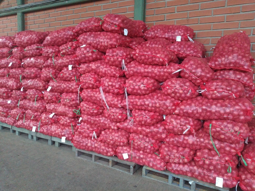 Cebolla roja peruana bulto x 45 kg