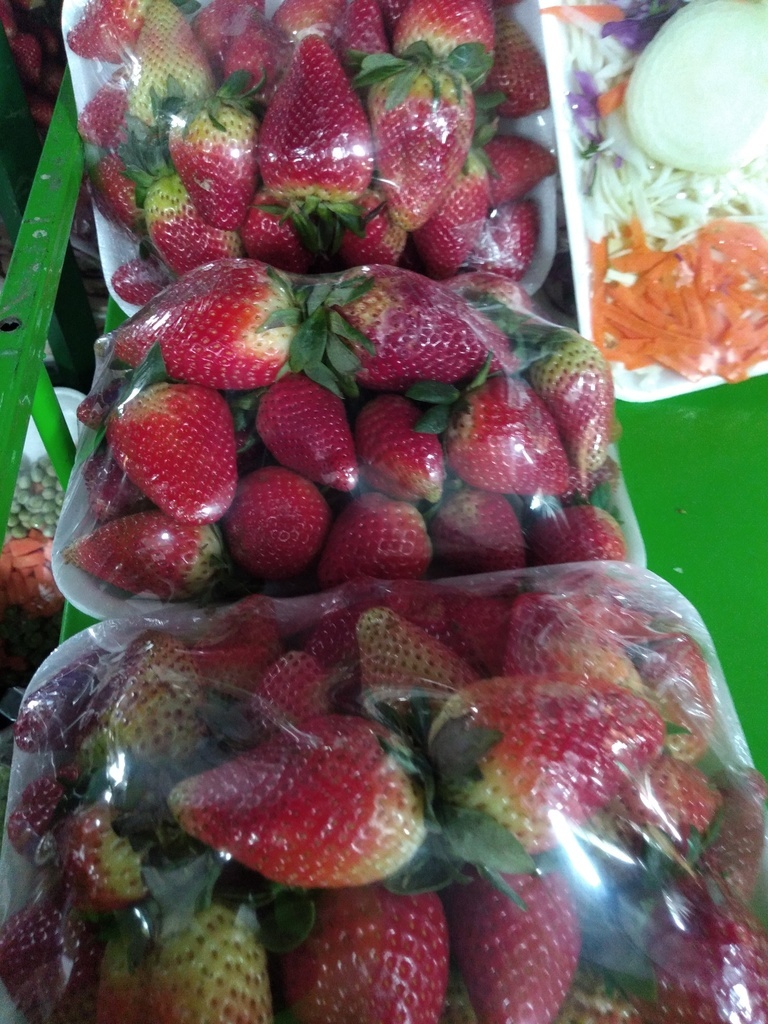 Fresa bandeja