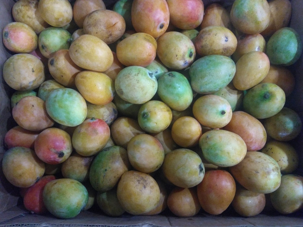 Mango